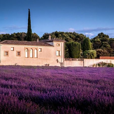 Le Mas Des Sorcieres - Maison D'Hotes Valréas Kültér fotó