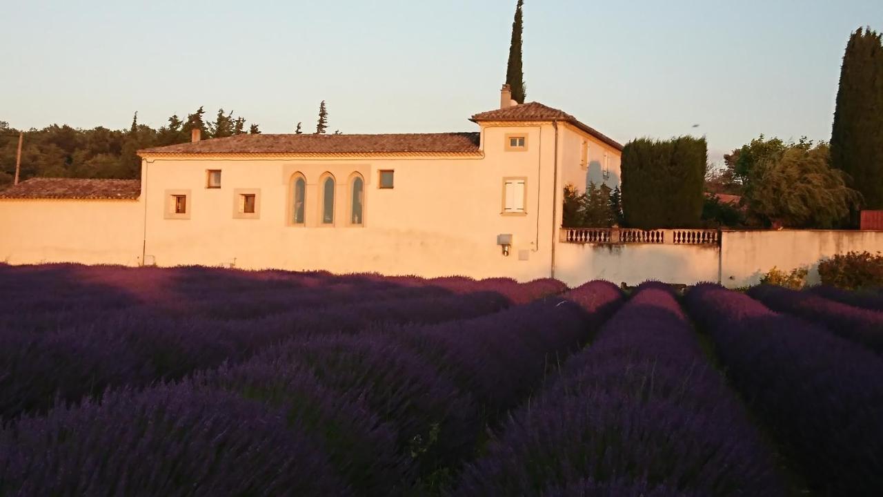 Le Mas Des Sorcieres - Maison D'Hotes Valréas Kültér fotó